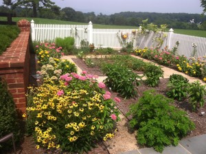 Kitchen Flower Garden