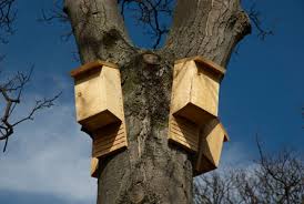 Bat Houses II